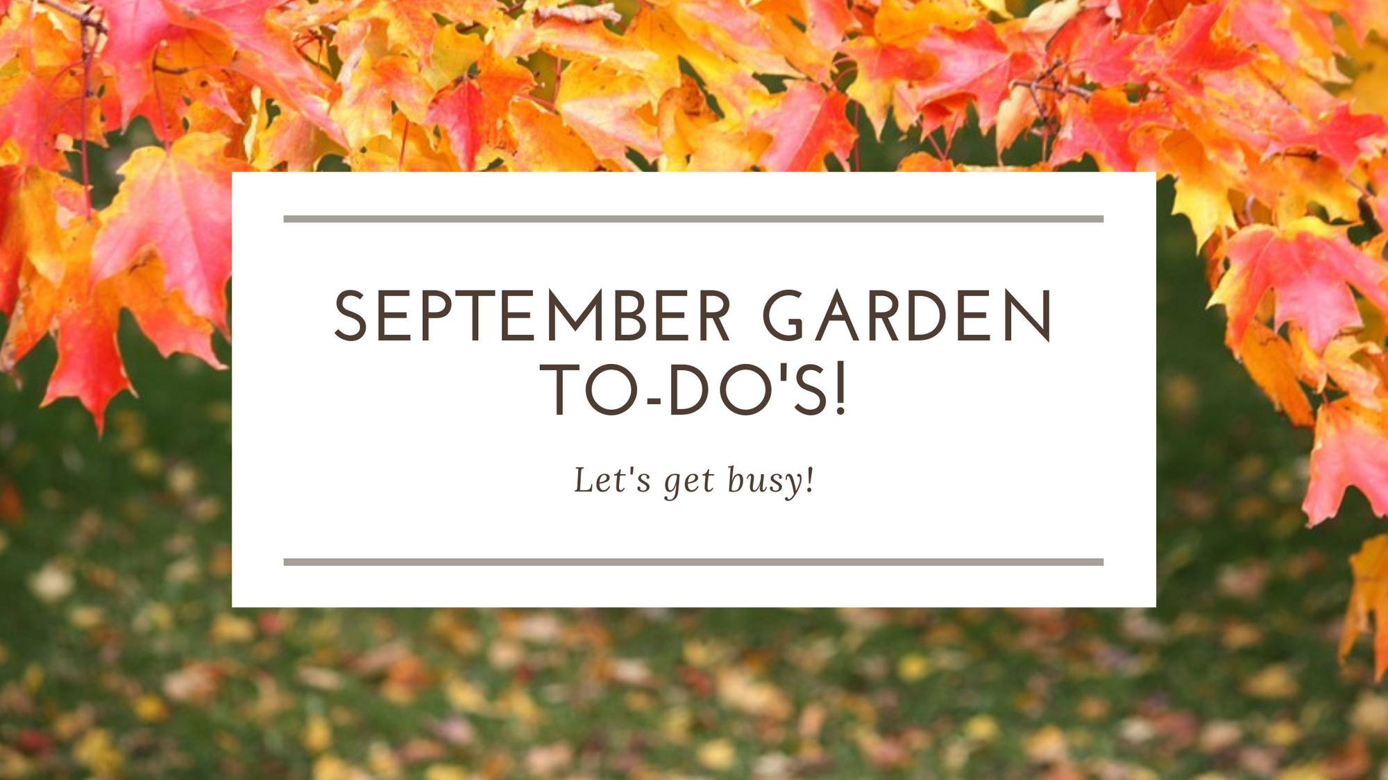 Summerland's September Garden To-Do's!