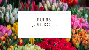 Bulbs. Just do it.
