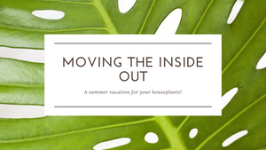 Moving the Inside Out