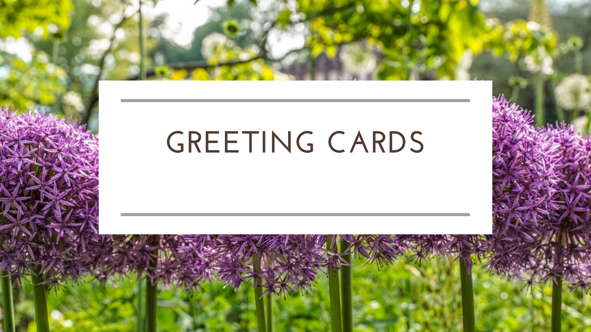 Greeting Cards for all occasions
