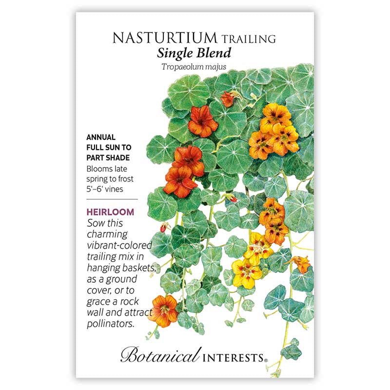 Single Blend Trailing Nasturtium