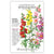 Snapdragon Tall Maximum Blend