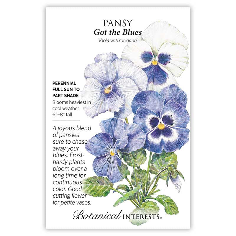 Pansy Got the Blues