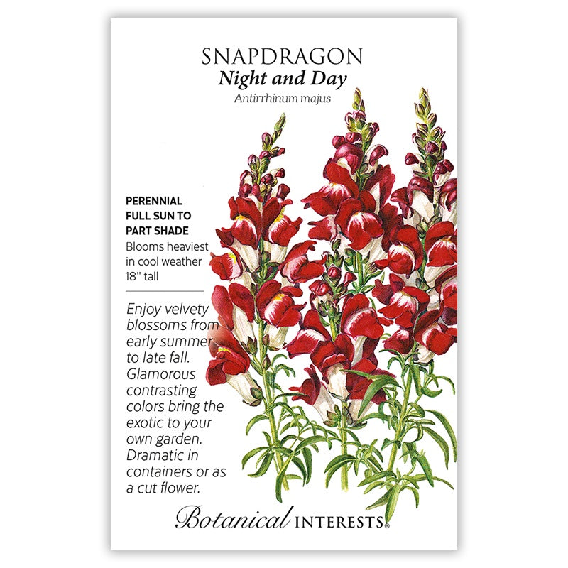 Night And Day Snapdragon