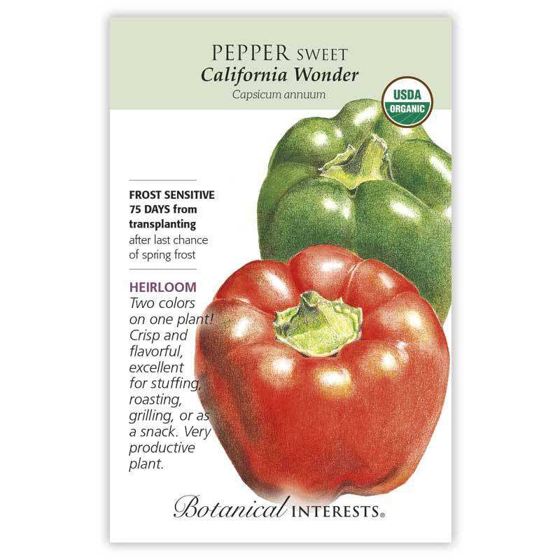 Pepper California Wonder, Organic