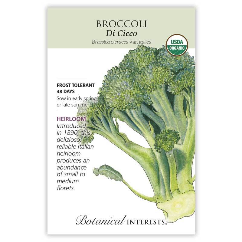 Broccoli Di Cicco, Organic