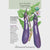 Eggplant Long Purple Org