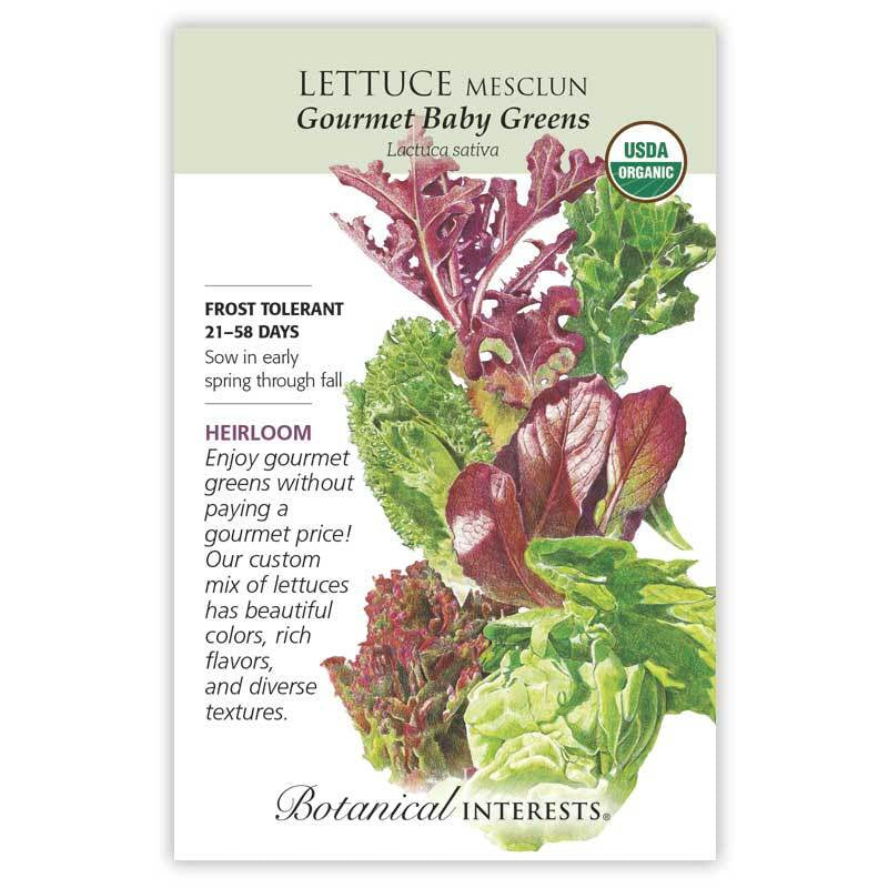 Lettuce Mesclun Baby Greens, Organic