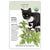 Catnip, Organic