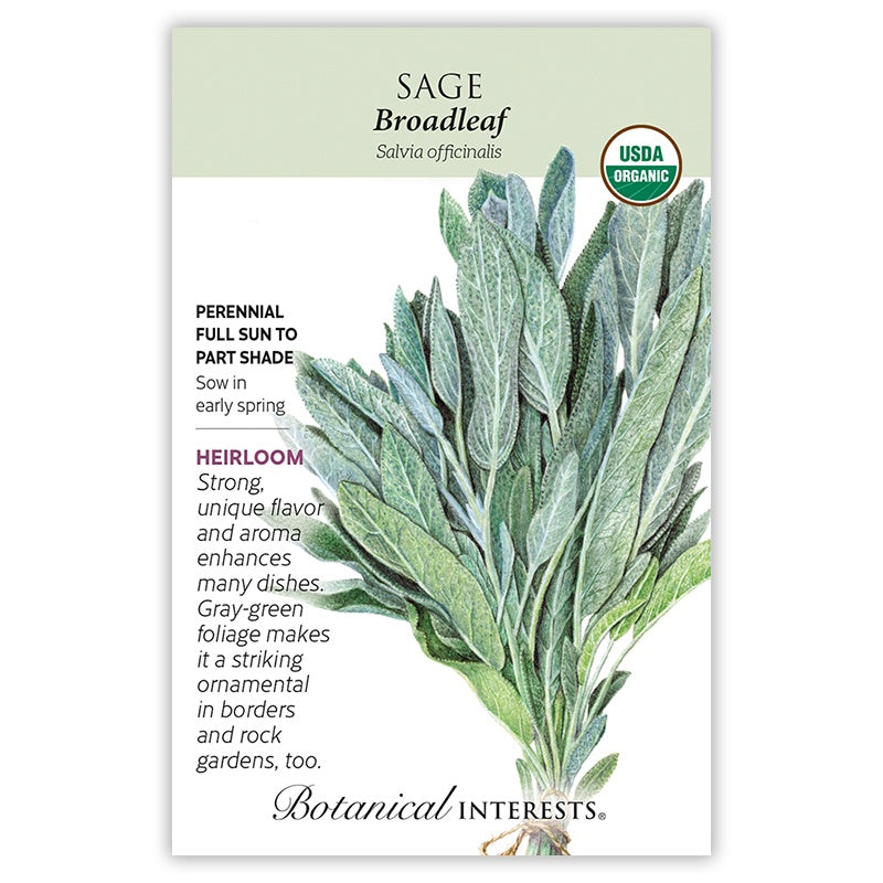 Sage Broadleaf Organic
