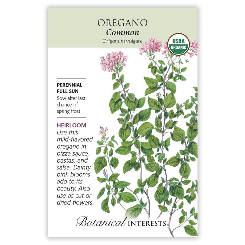 Oregano Common, Organic