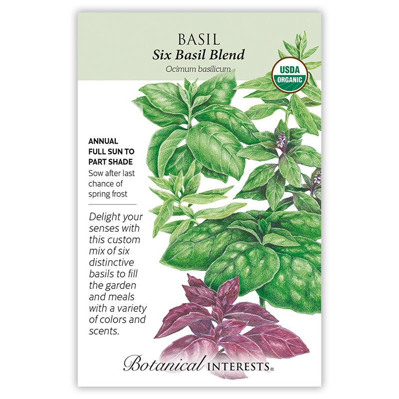 Basil Six Basil Blend Organic