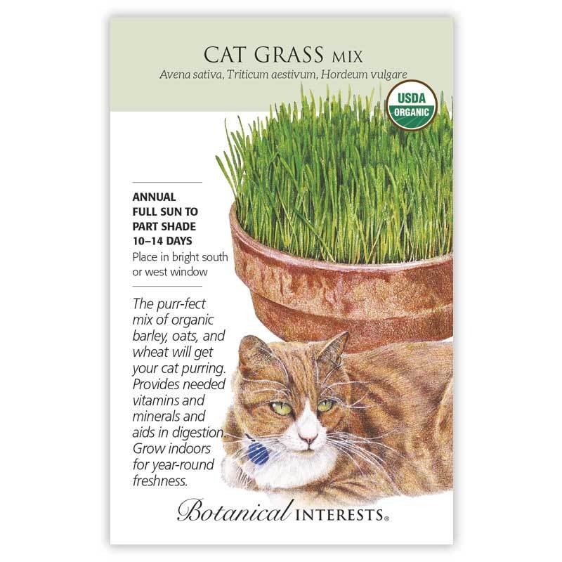 Cat Grass, Organic