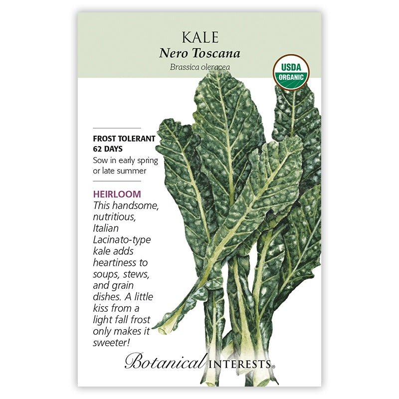 Kale Nero Toscana, Organic