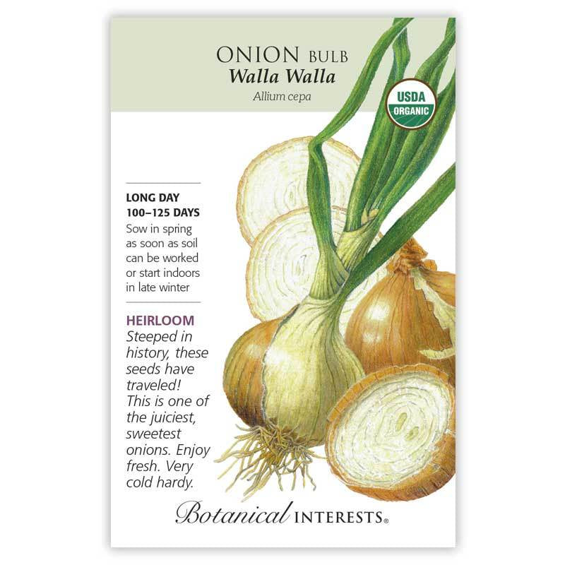 Onion Walla Walla, Organic