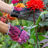 Bloom Gardening Gloves