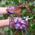 Oak Leaf Gardening Gloves - Plum