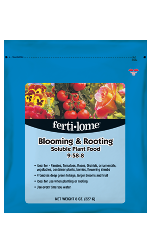 Blooming & Rooting