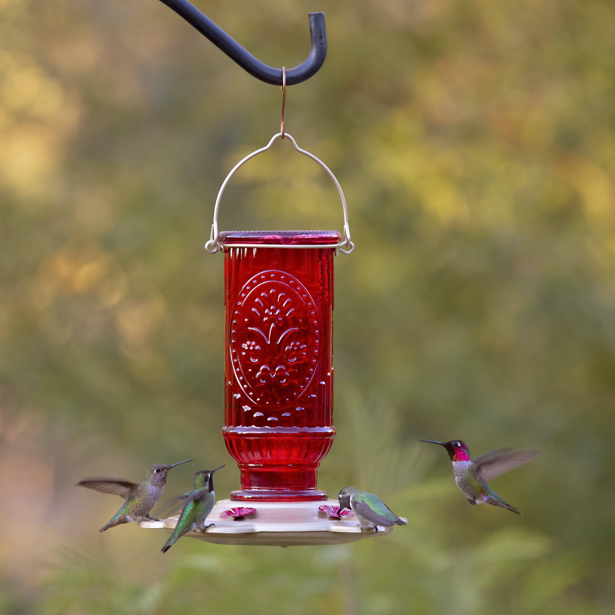 Red Vintage Hummingbird Feeder