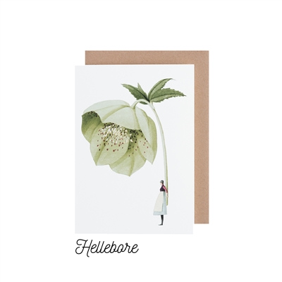 All Occasion Greeting Cards