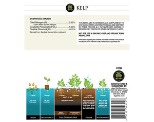 Kelp