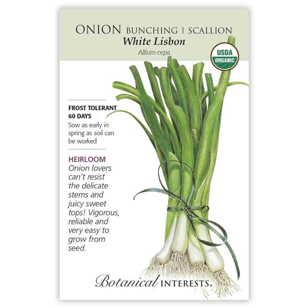 Onion White Lisbon Scallion, Organic