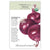 Onion Cabernet, Organic