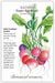 Radish Easter Egg Blend